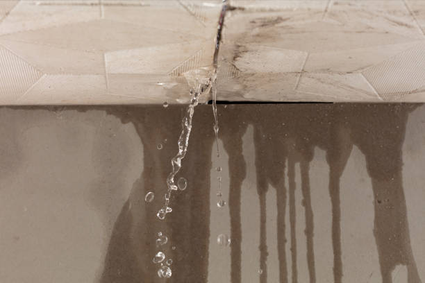 Professional Water Damage Repair technician working in Rockford, MI